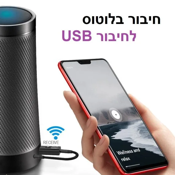 משדר בלוטוס עם חיבור USB ל-2 יציאות AUX