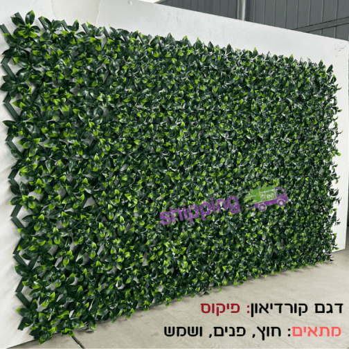 קיר ירוק מלאכותי עשה זאת בעצמך דגם אקורדיון - פיקוס,ענבל,נויה עמיד שמש