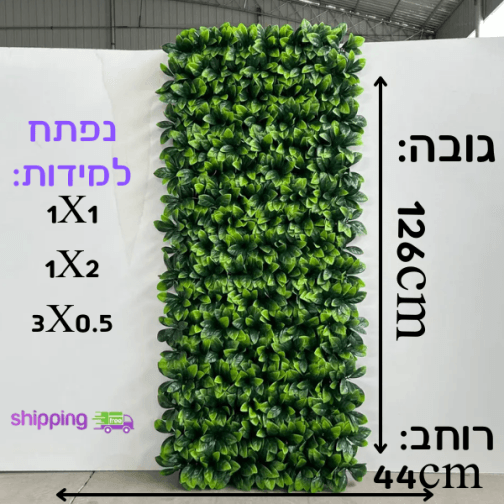 קיר ירוק מלאכותי עשה זאת בעצמך דגם אקורדיון - פיקוס,ענבל,נויה עמיד שמש